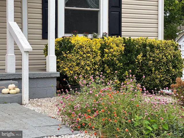 $339,000 | 1314 South West Street, Culpeper, VA 22701