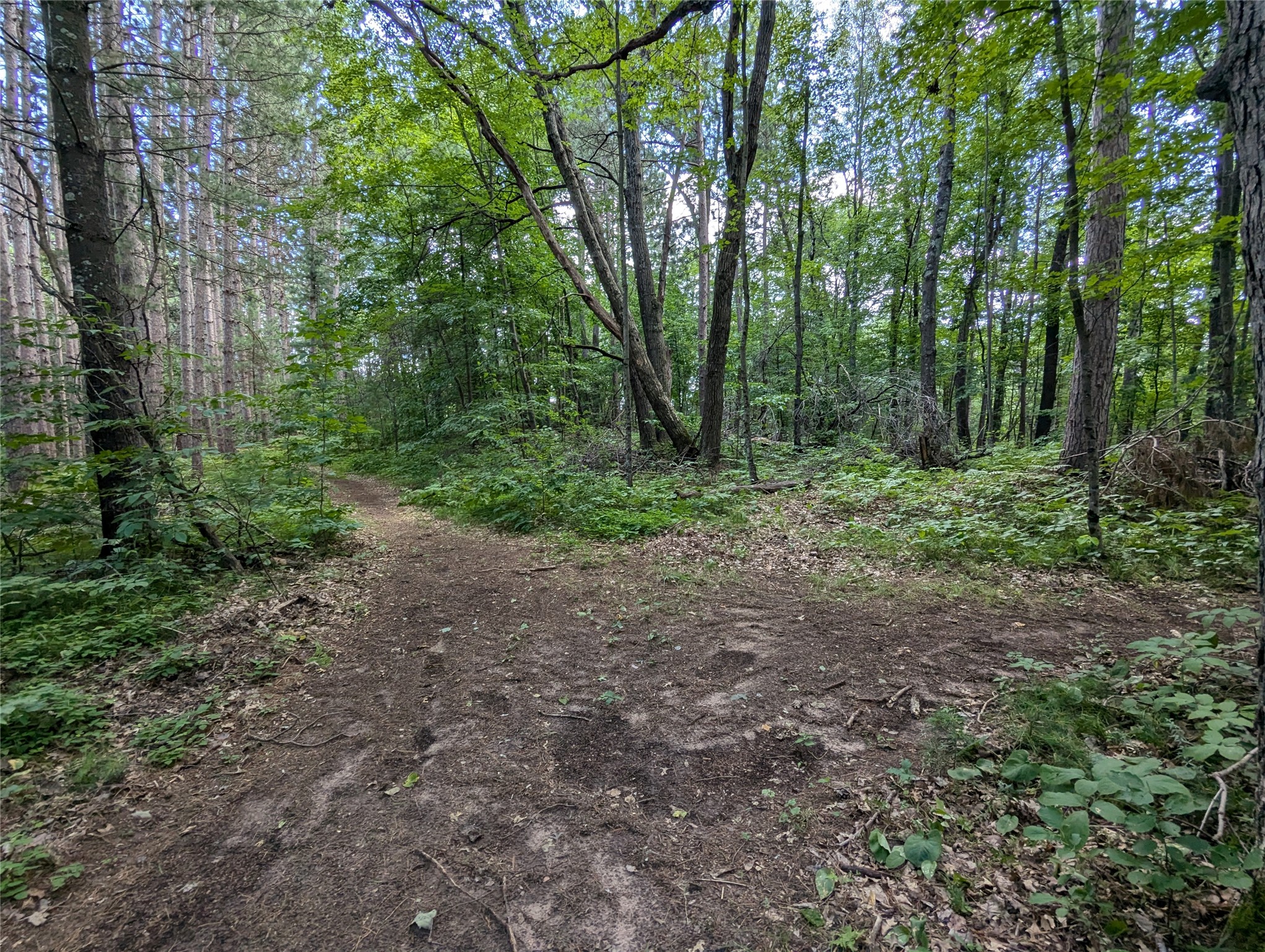 Lot 2 Fosmo Drive Webster, WI 54893 - Photo 5 of 13