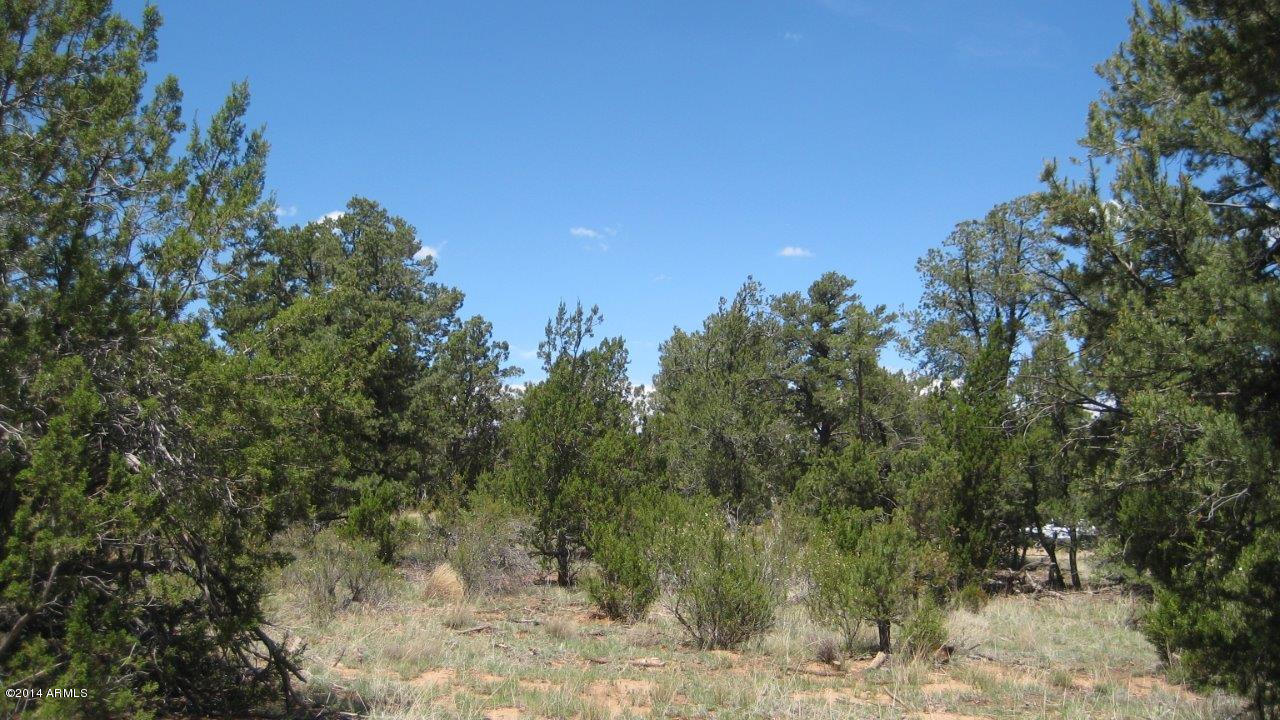3325 Sawmill Ridge Loop, Unit 104 Heber, AZ 85928 - Photo 8 of 24 IMG_1196