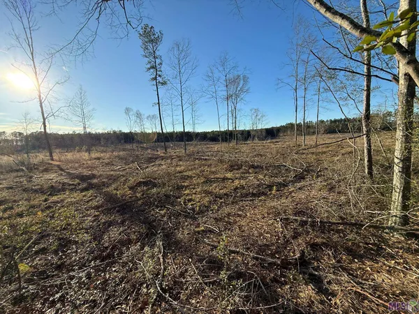 $104,900 | 450 Mt Hermon La, Mount Hermon, LA 70450