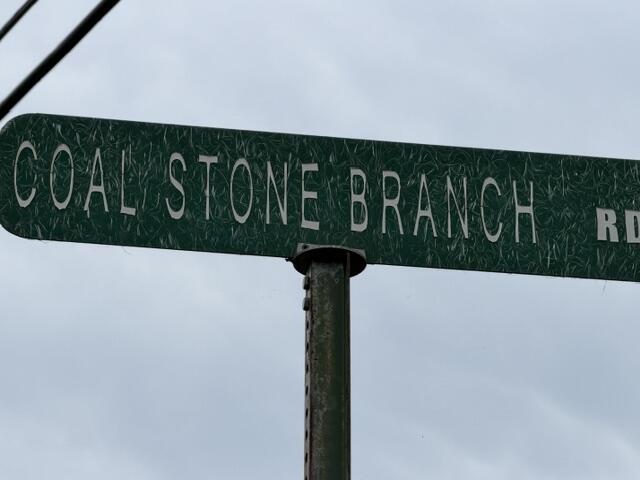 238 Coal Stone Branch Road Miracle, KY 40856 - Photo 38 of 38 IMG_7825