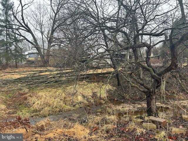 2303 Chestnut Grove Road Sharpsburg, MD 21782 - Photo 10 of 49