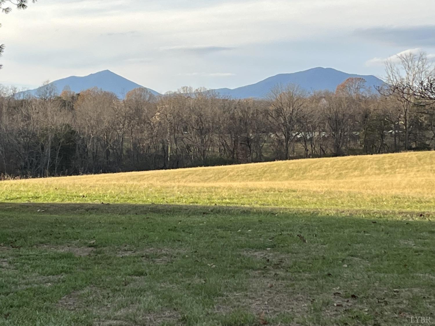 3912 Lowry Road Goode, VA 24556 - Photo 2 of 56 a view of an lake and a mountain