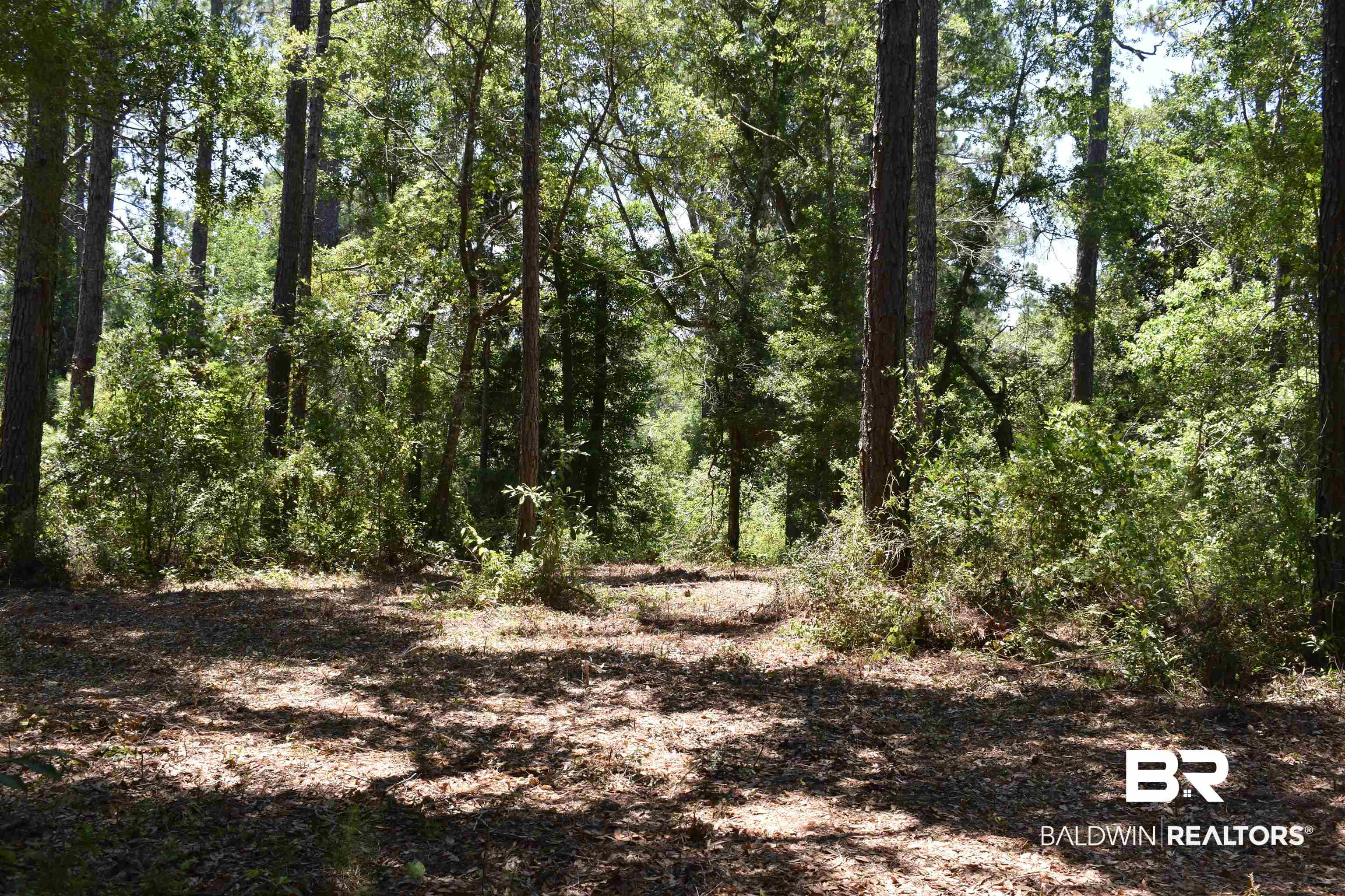 17655 River Road Summerdale, AL 36580 - Photo 11 of 17