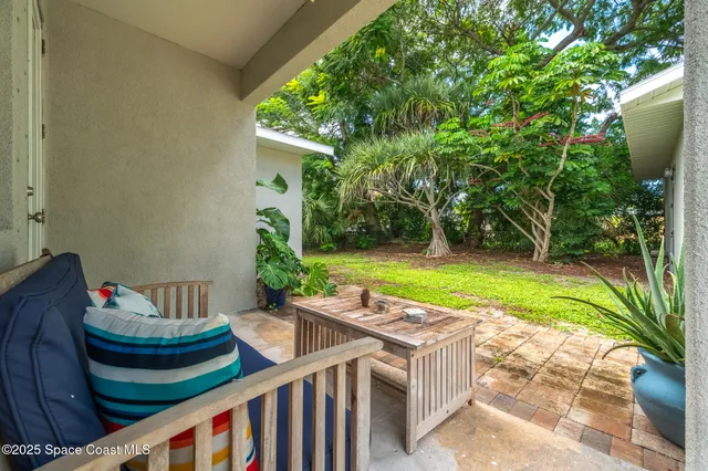 a view of a yard with a tree