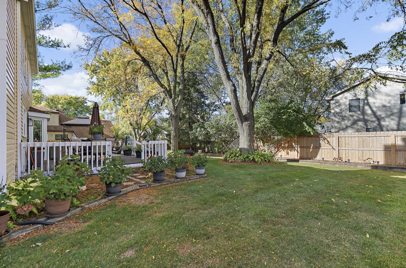11612 Becky Lee Huntley, IL 60142 - Photo 31 of 33 a view of backyard with trees