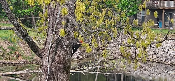 $199,900 | 11 Scenic Court, Branson, MO 65616