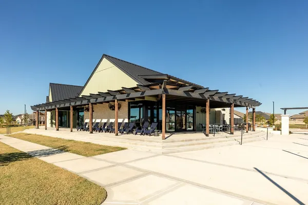 a outdoor space with lots of palm trees