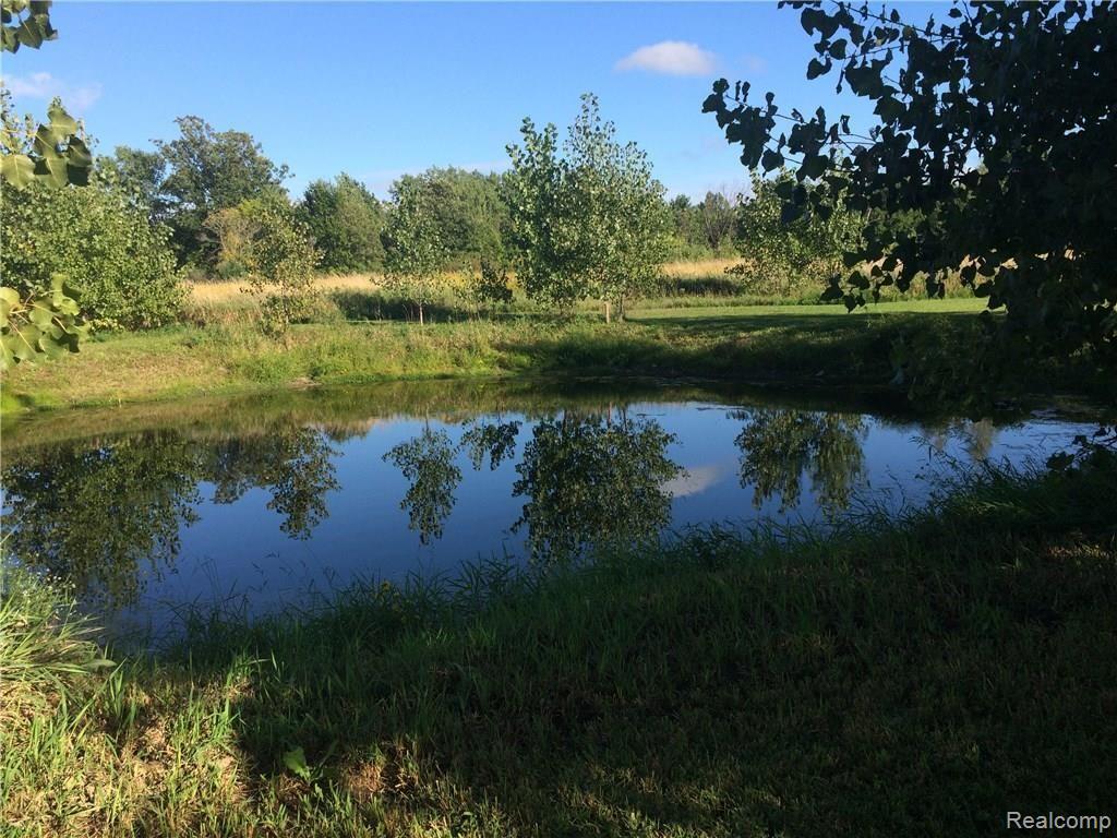 3084 Baldwin Road Metamora, MI 48455 - Photo 10 of 84 dorman 9.jpg