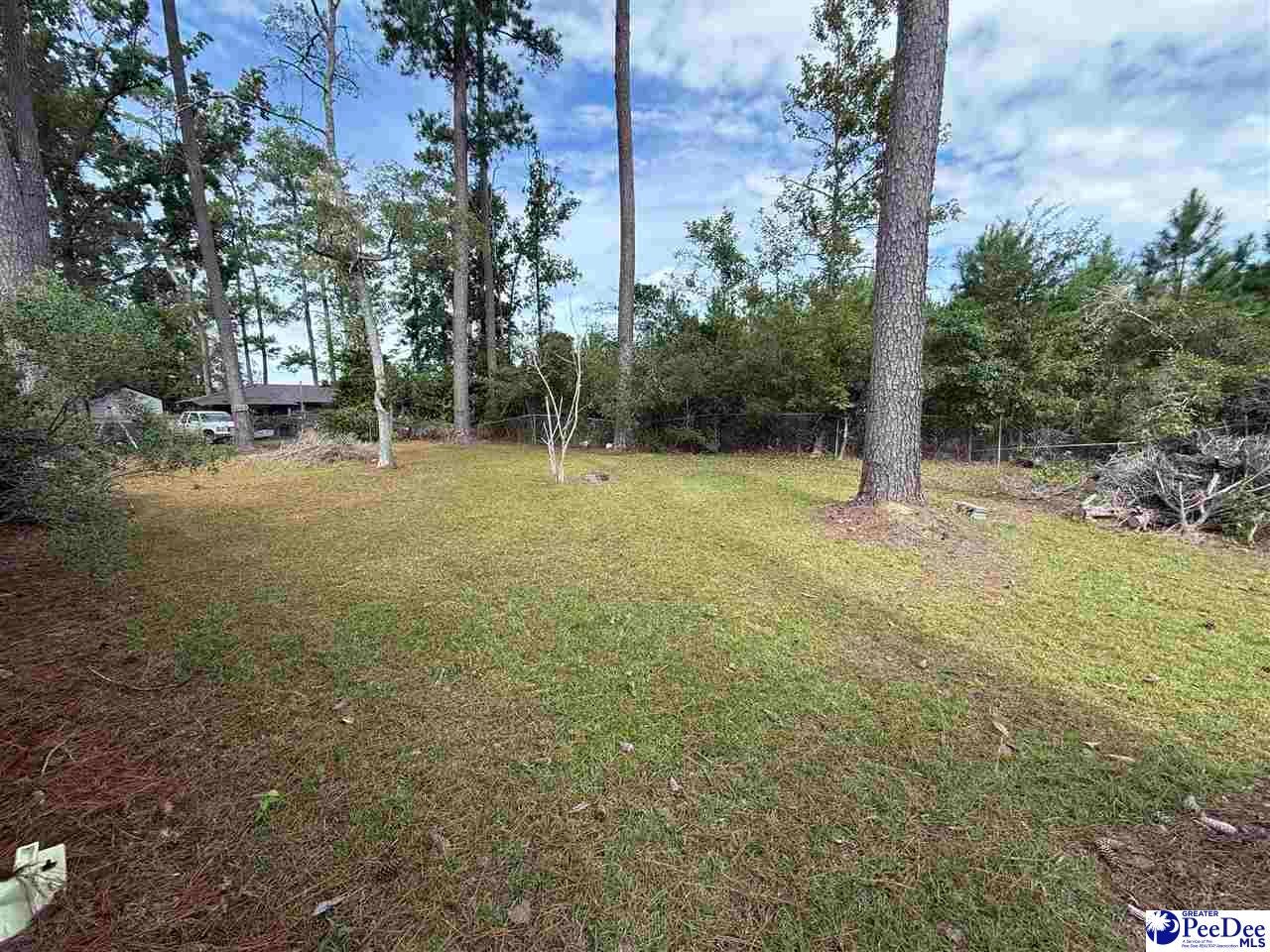 17 Ard Circle Hemingway, SC 29554 - Photo 5 of 16 Gallery Image 5