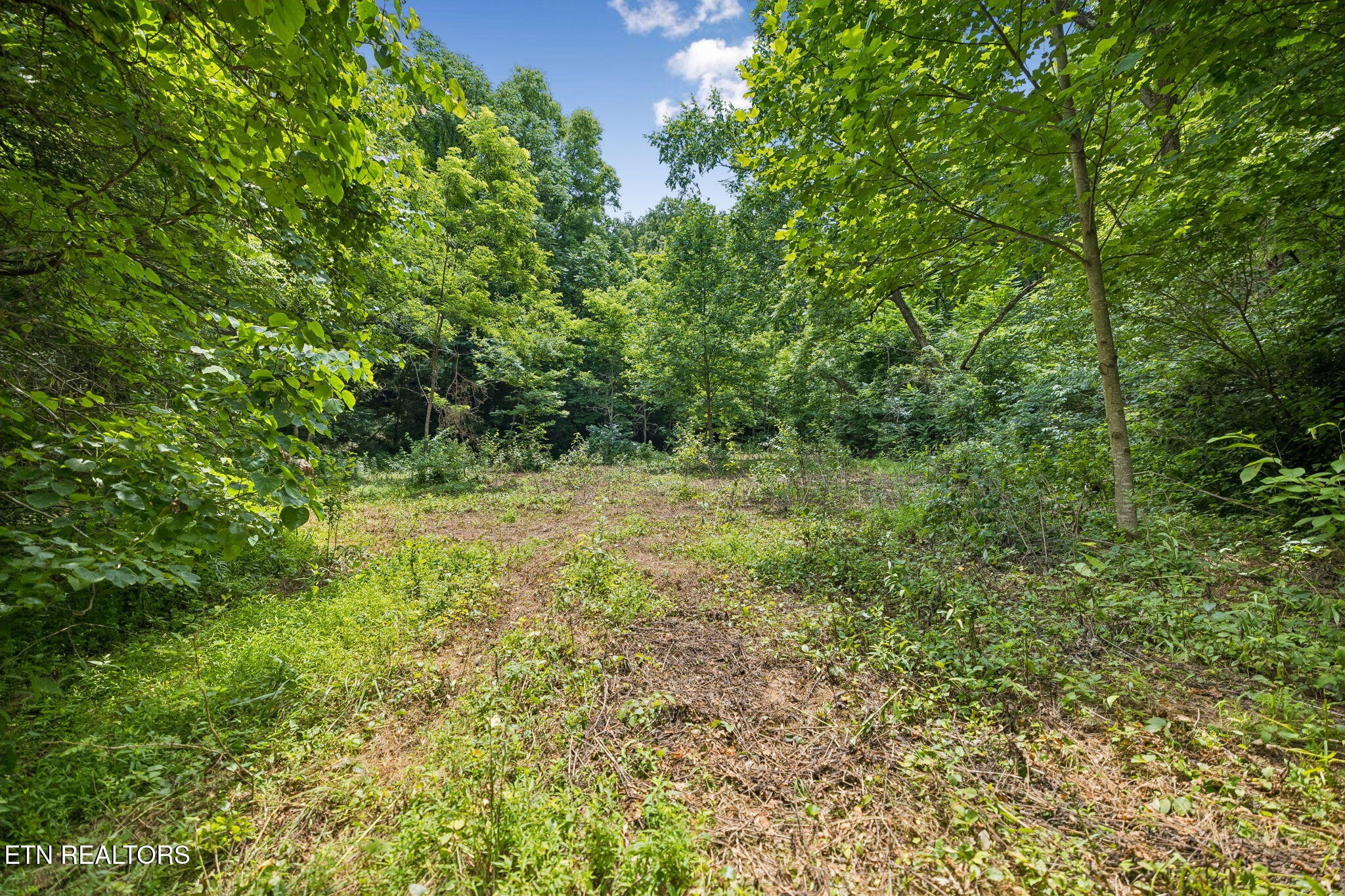 0 Knob Road Rutledge, TN 37861 - Photo 1 of 46