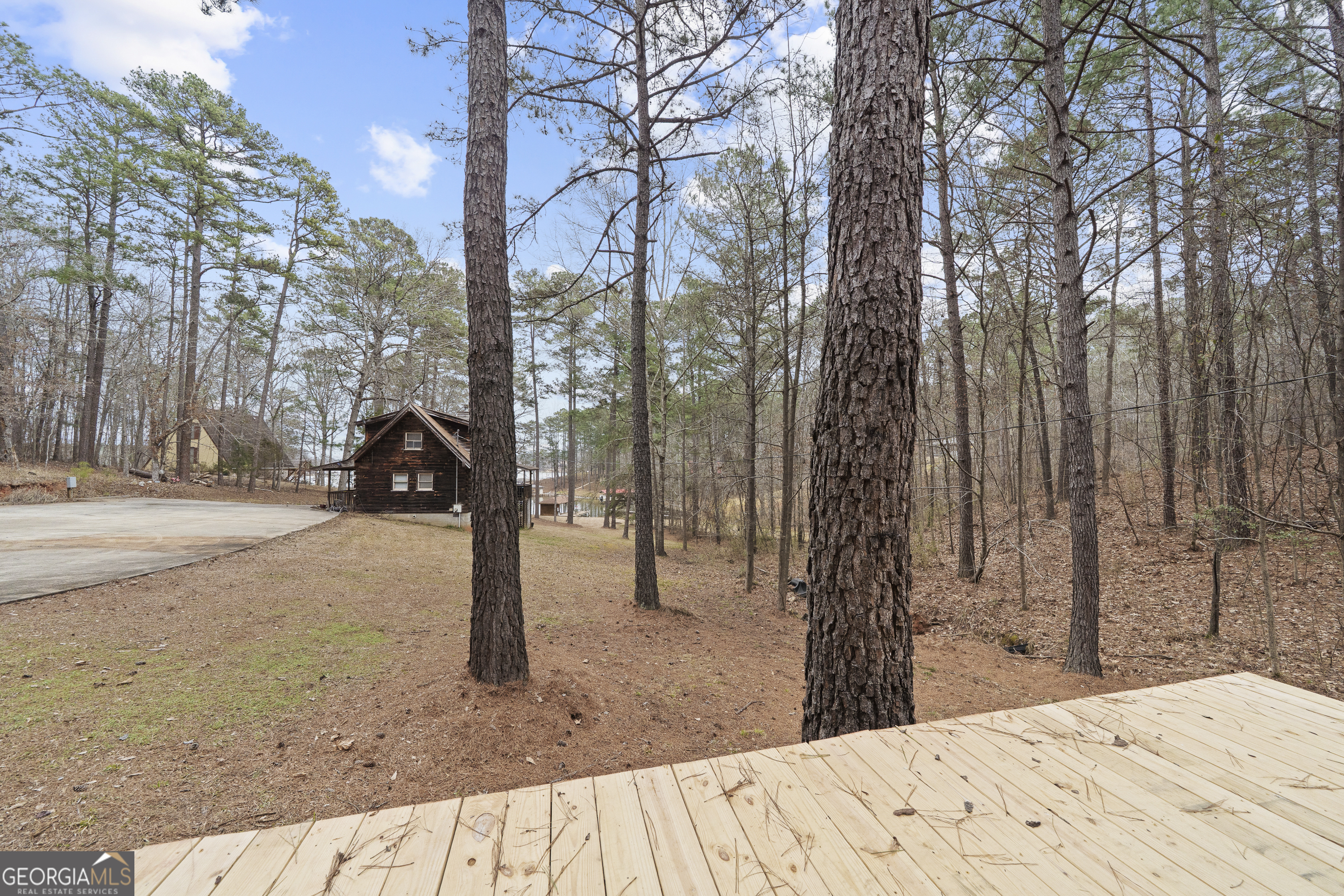 1011 Sandy Run Drive Sparta, GA 31087 - Photo 32 of 39