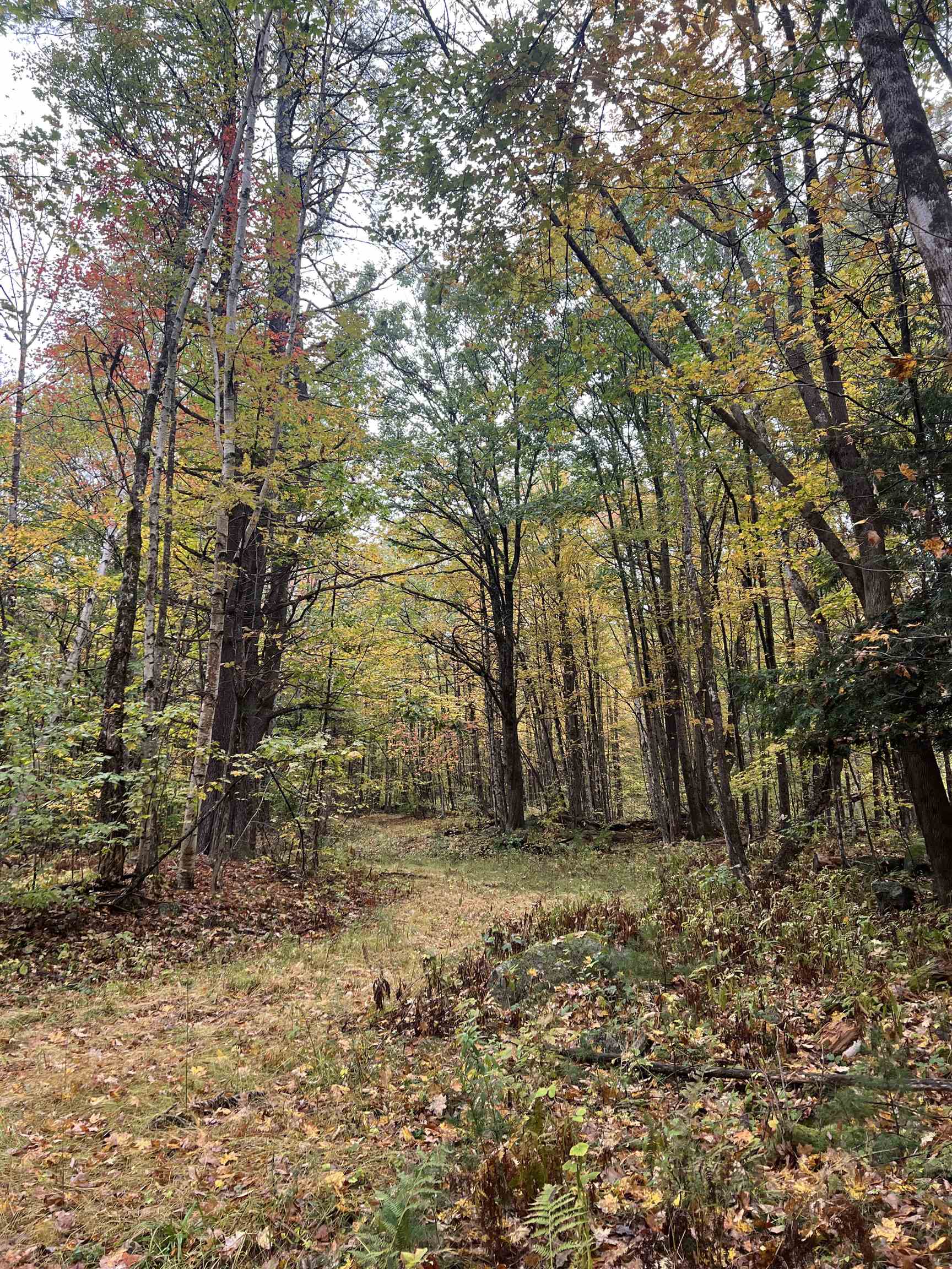 Freeman Colby Road Henniker, NH 03242 - Photo 1 of 6 Gallery Image 1