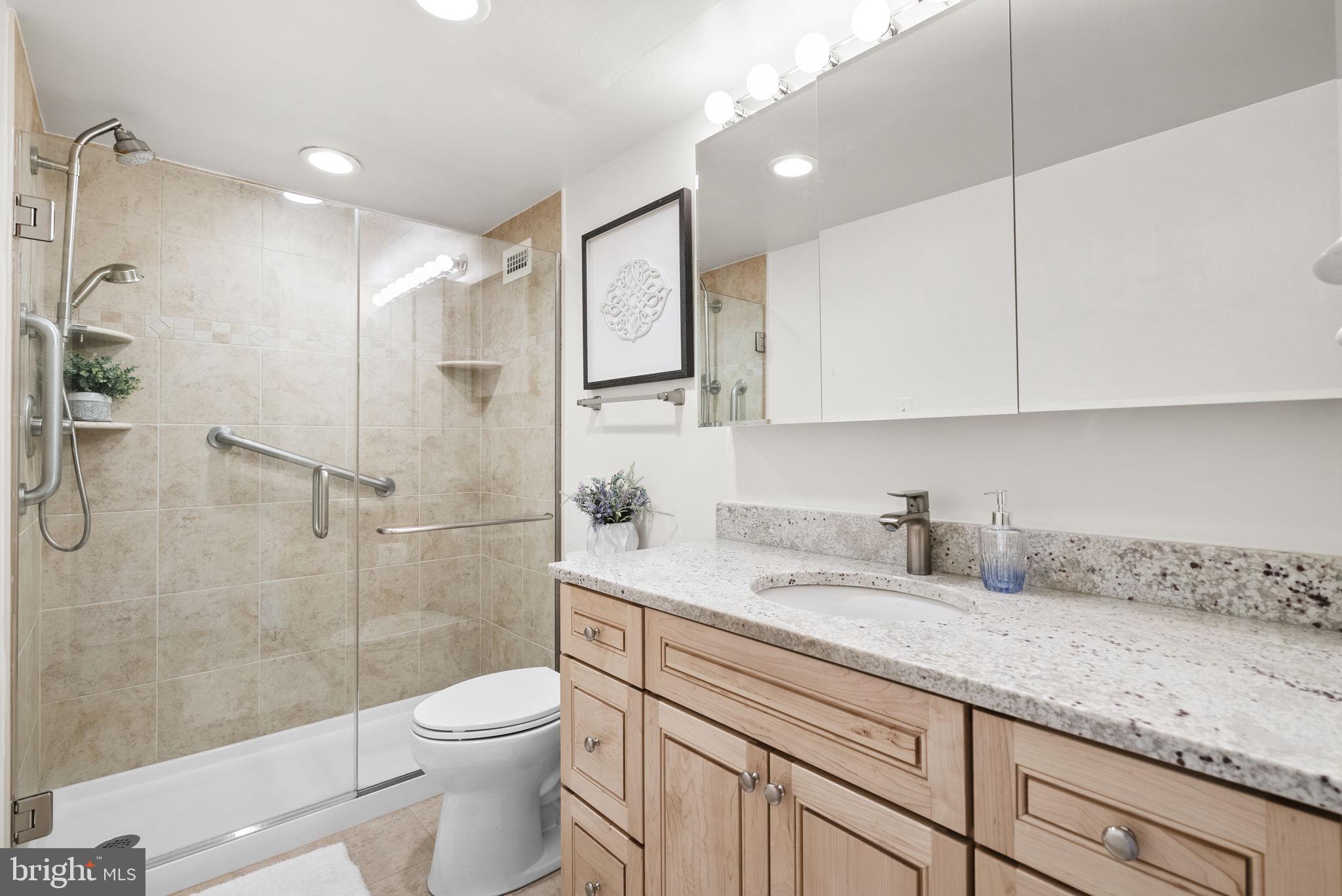 5225 Pooks Hill Road, Unit 804N Bethesda, MD 20814 - Photo 21 of 39 a bathroom with a granite countertop sink a toilet and shower