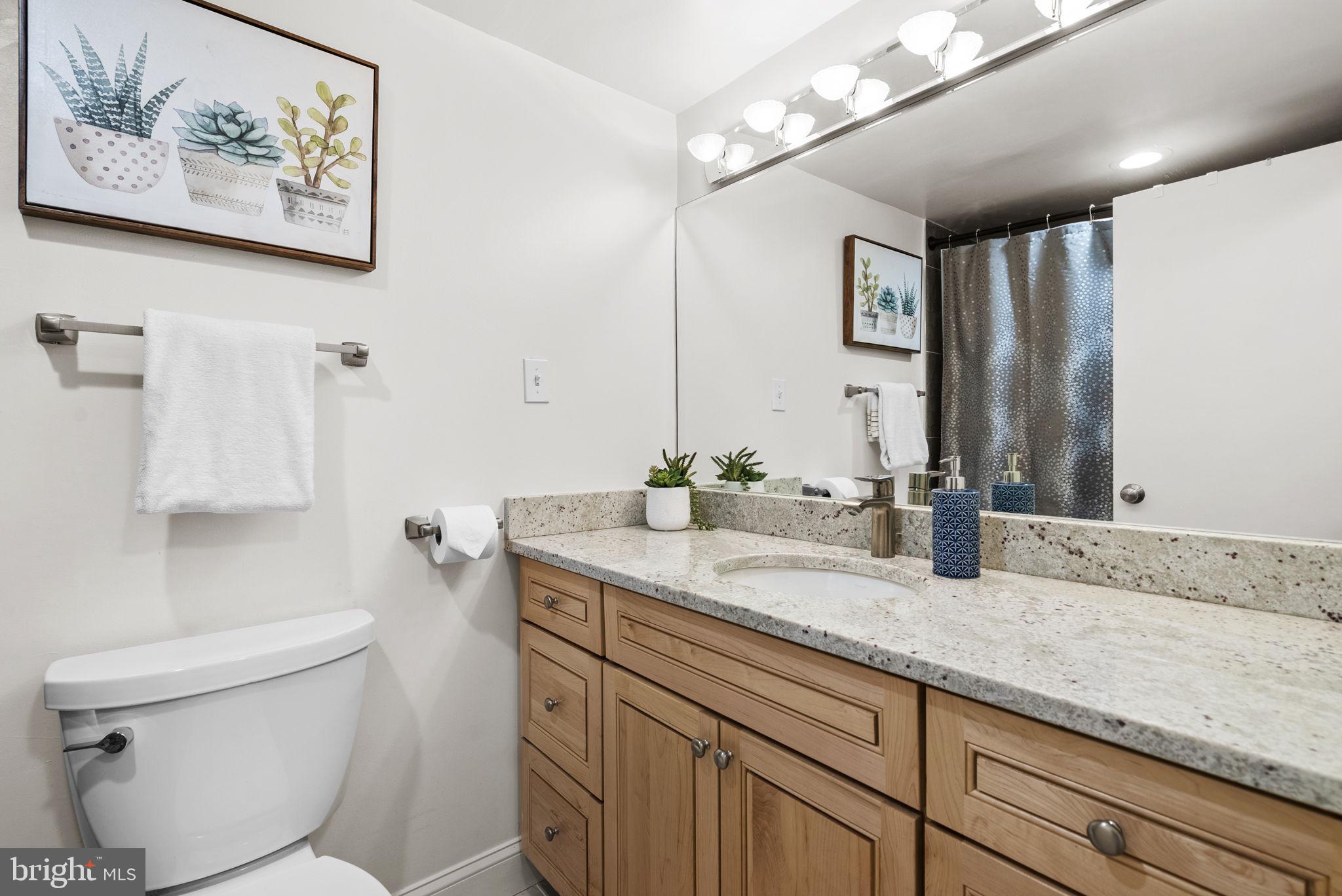5225 Pooks Hill Road, Unit 804N Bethesda, MD 20814 - Photo 25 of 39 a bathroom with a granite countertop sink a toilet and mirror