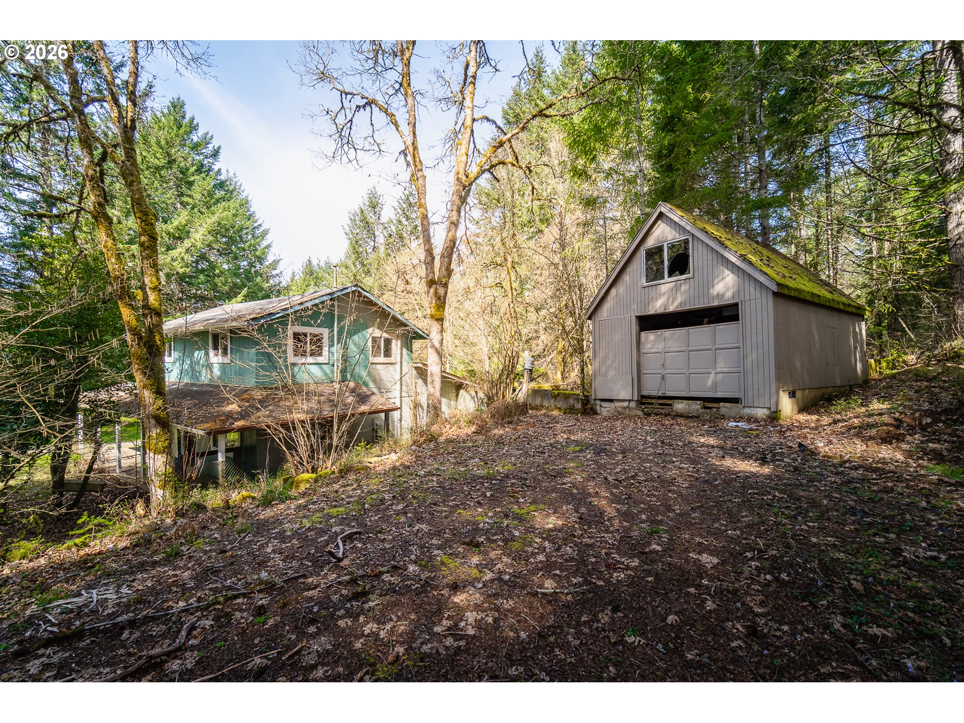 23939 Raze Road Elmira, OR 97437 - Photo 3 of 46