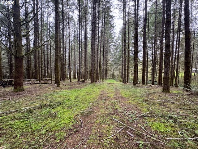 23939 Raze Road Elmira, OR 97437 - Photo 40 of 46