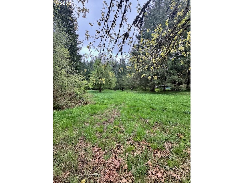 23939 Raze Road Elmira, OR 97437 - Photo 41 of 46