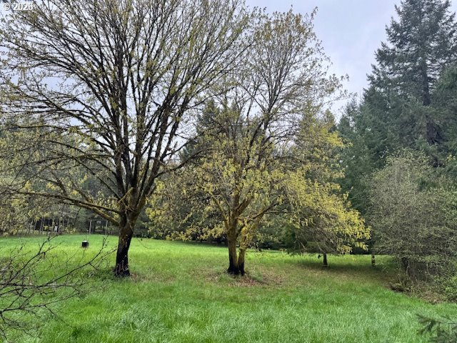 23939 Raze Road Elmira, OR 97437 - Photo 42 of 46