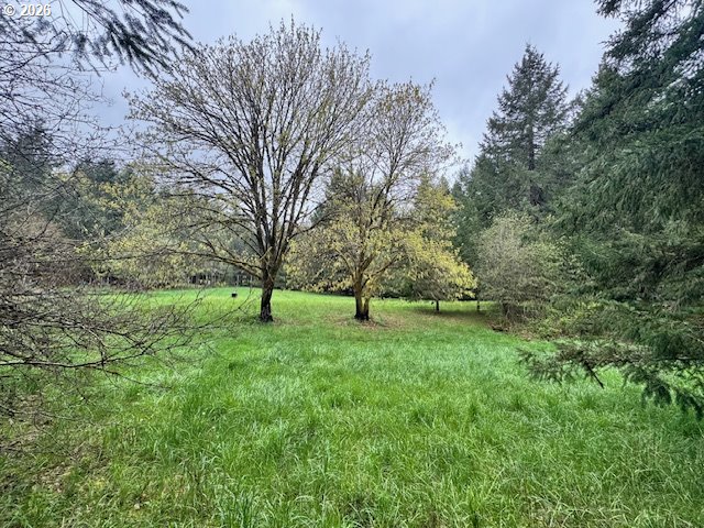 23939 Raze Road Elmira, OR 97437 - Photo 43 of 46