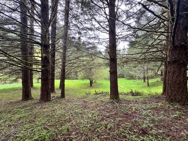 23939 Raze Road Elmira, OR 97437 - Photo 44 of 46