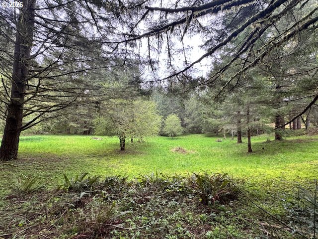 23939 Raze Road Elmira, OR 97437 - Photo 45 of 46