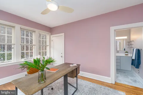 a room with furniture and a potted plant