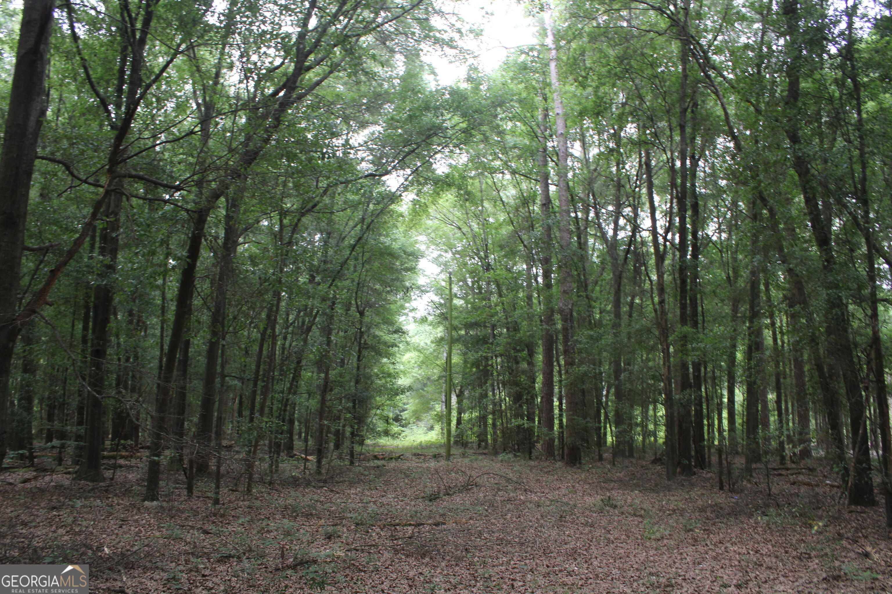 0 South State Route 49 Road Oglethorpe, GA 31068 - Photo 1 of 16