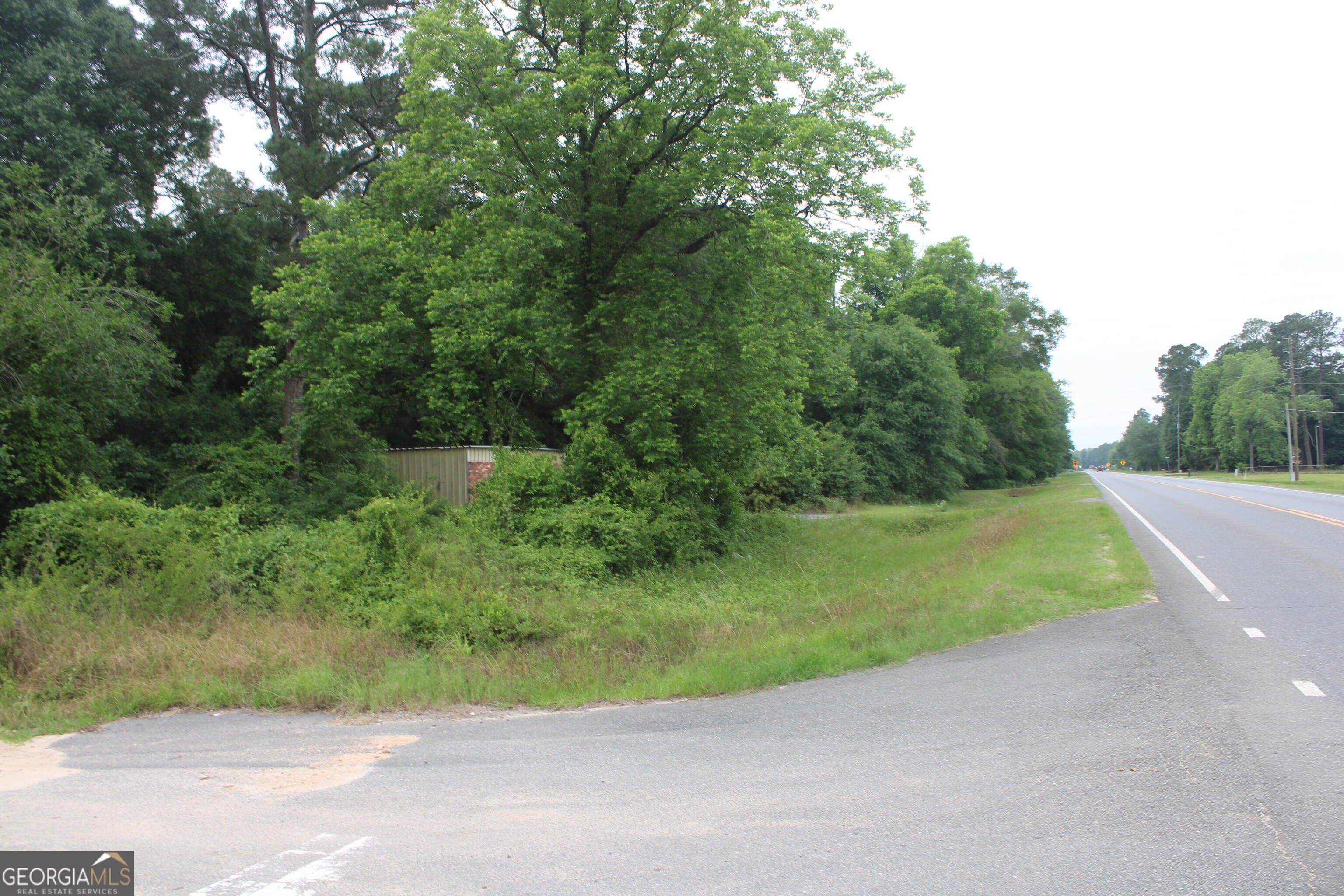 0 South State Route 49 Road Oglethorpe, GA 31068 - Photo 11 of 16