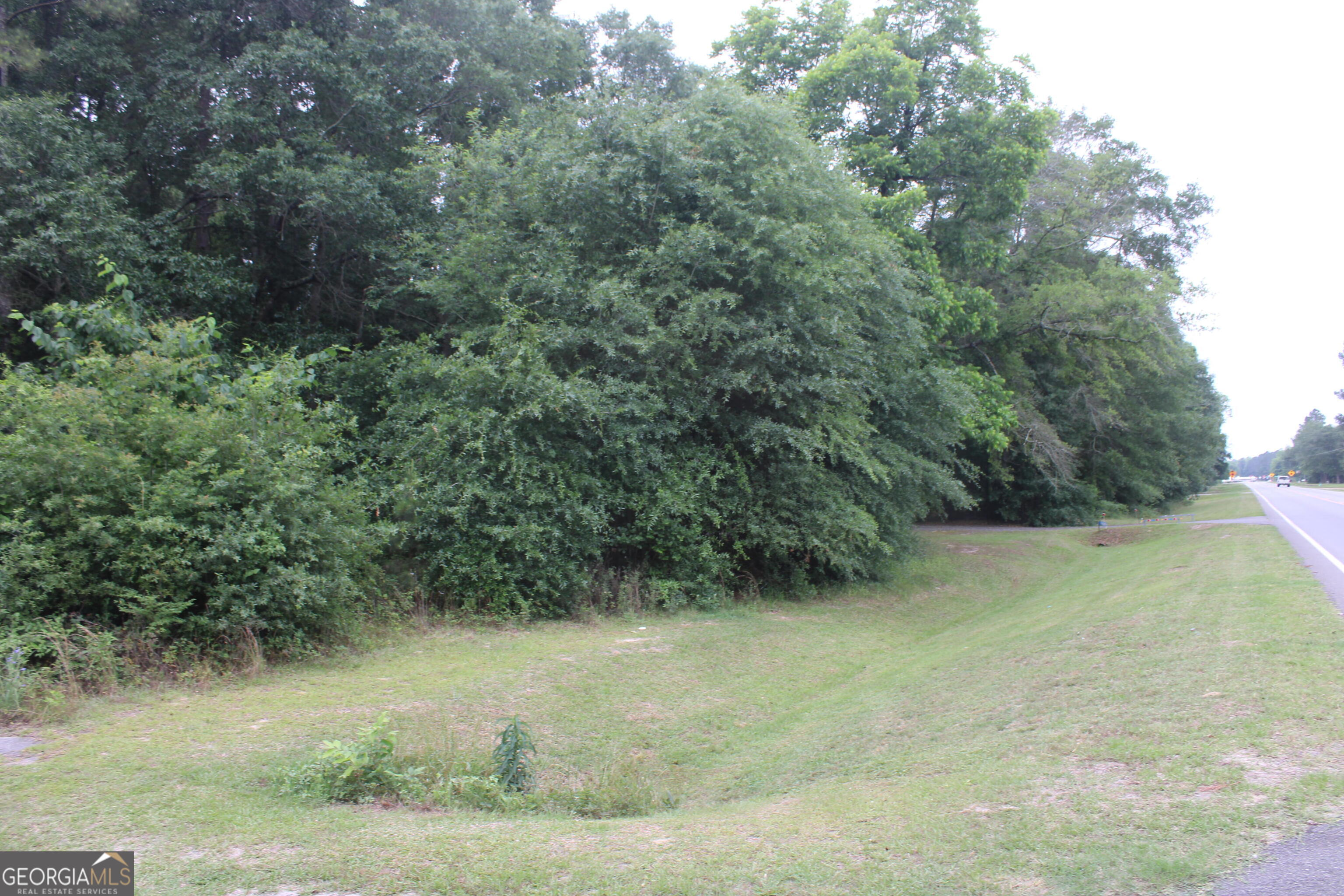 0 South State Route 49 Road Oglethorpe, GA 31068 - Photo 12 of 16