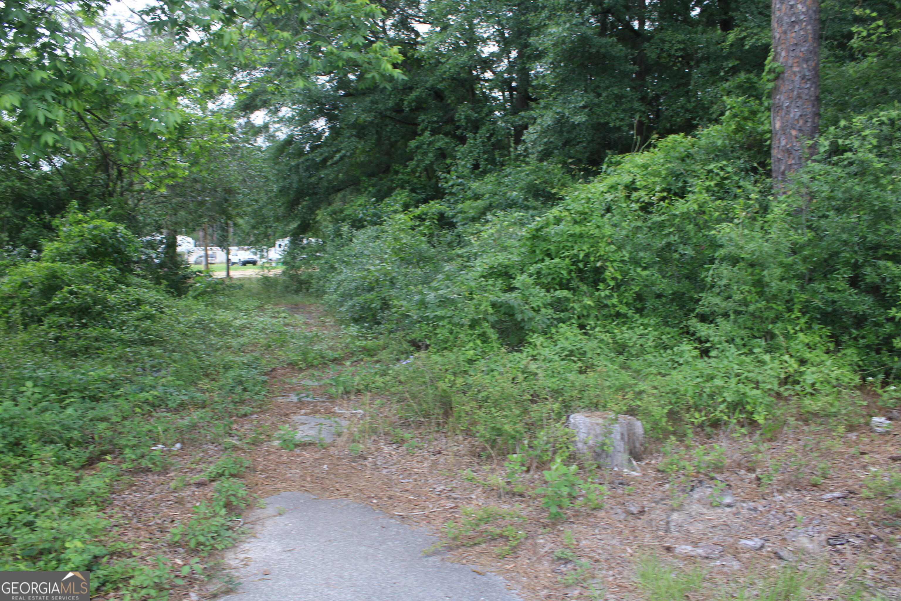 0 South State Route 49 Road Oglethorpe, GA 31068 - Photo 13 of 16