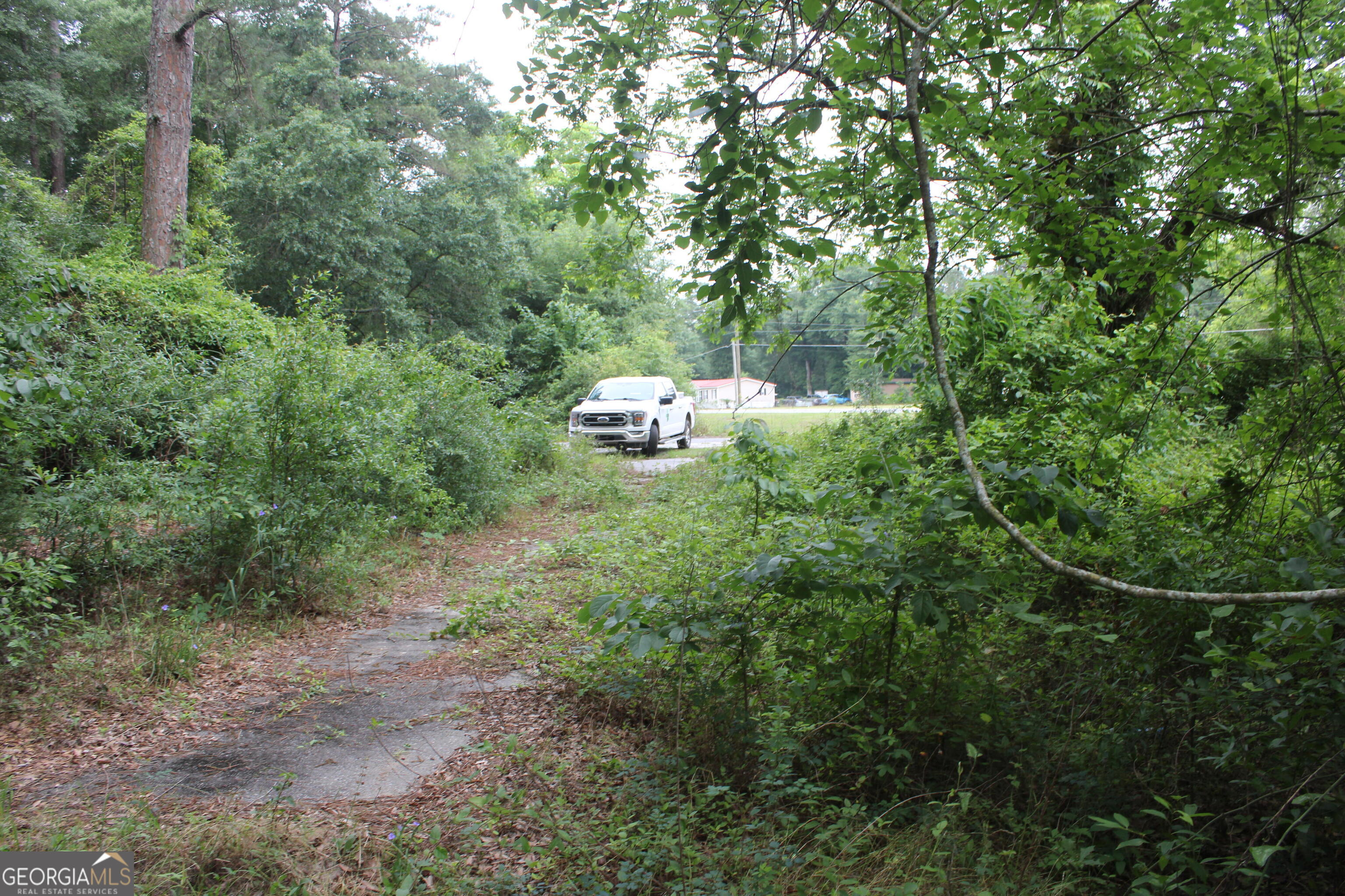 0 South State Route 49 Road Oglethorpe, GA 31068 - Photo 14 of 16
