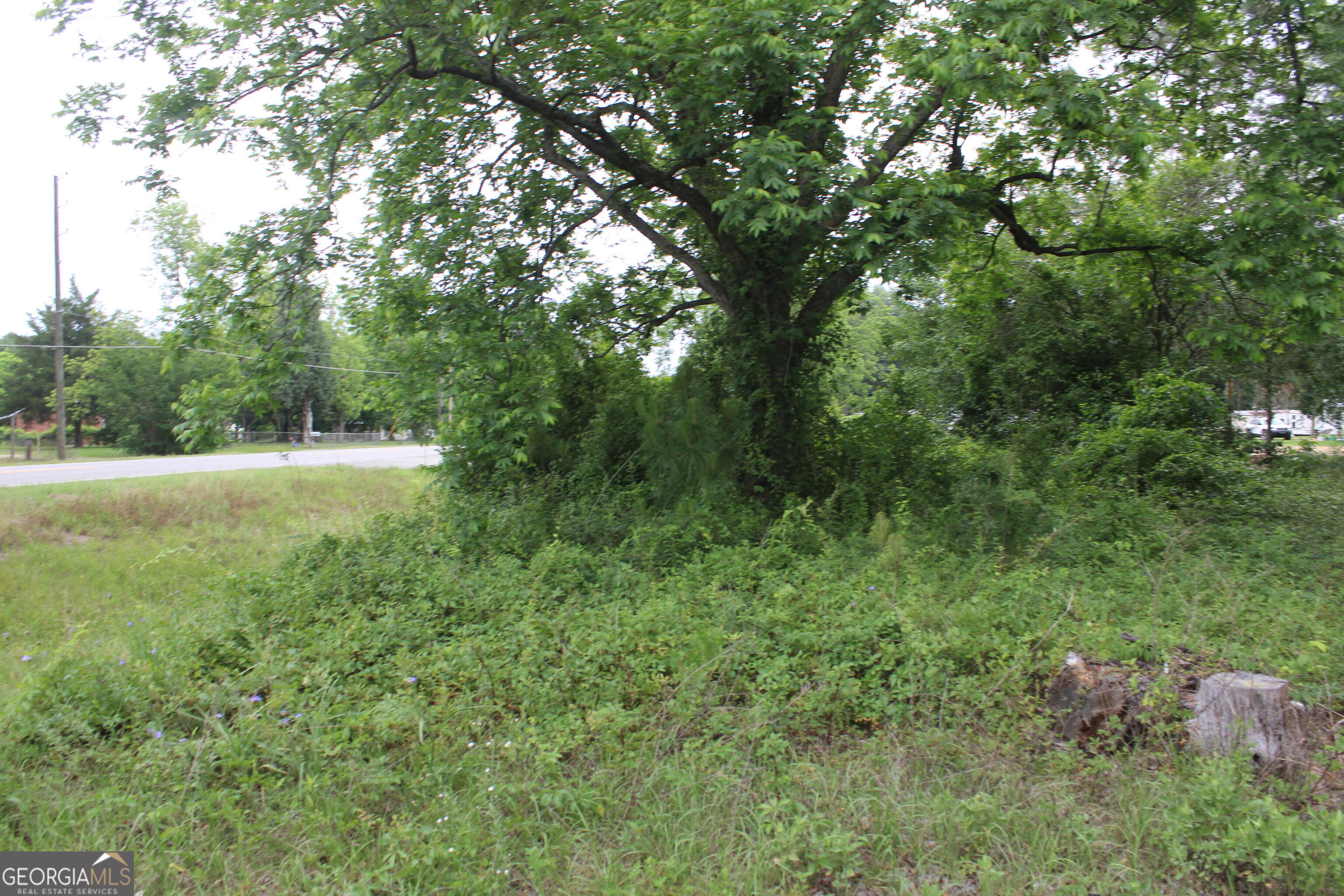 0 South State Route 49 Road Oglethorpe, GA 31068 - Photo 15 of 16