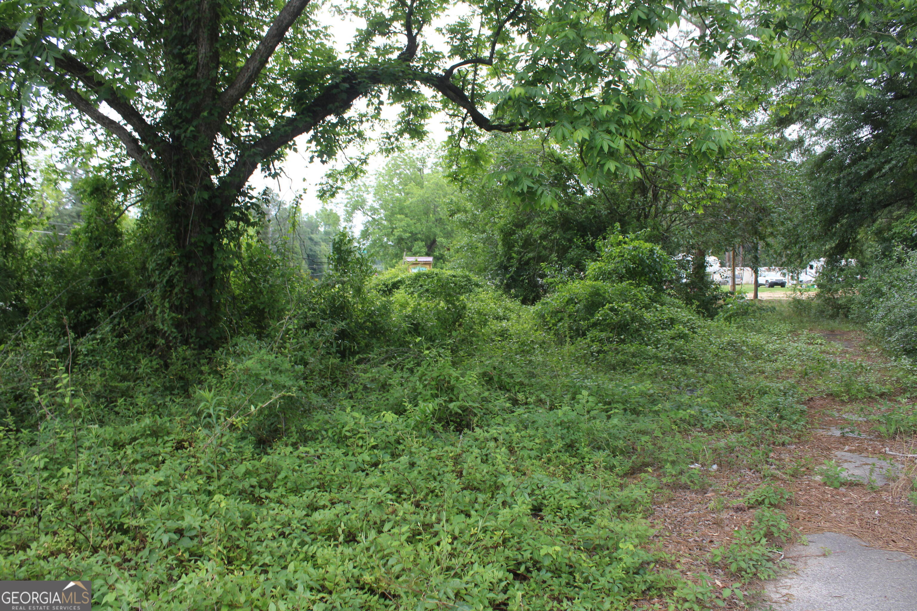 0 South State Route 49 Road Oglethorpe, GA 31068 - Photo 16 of 16