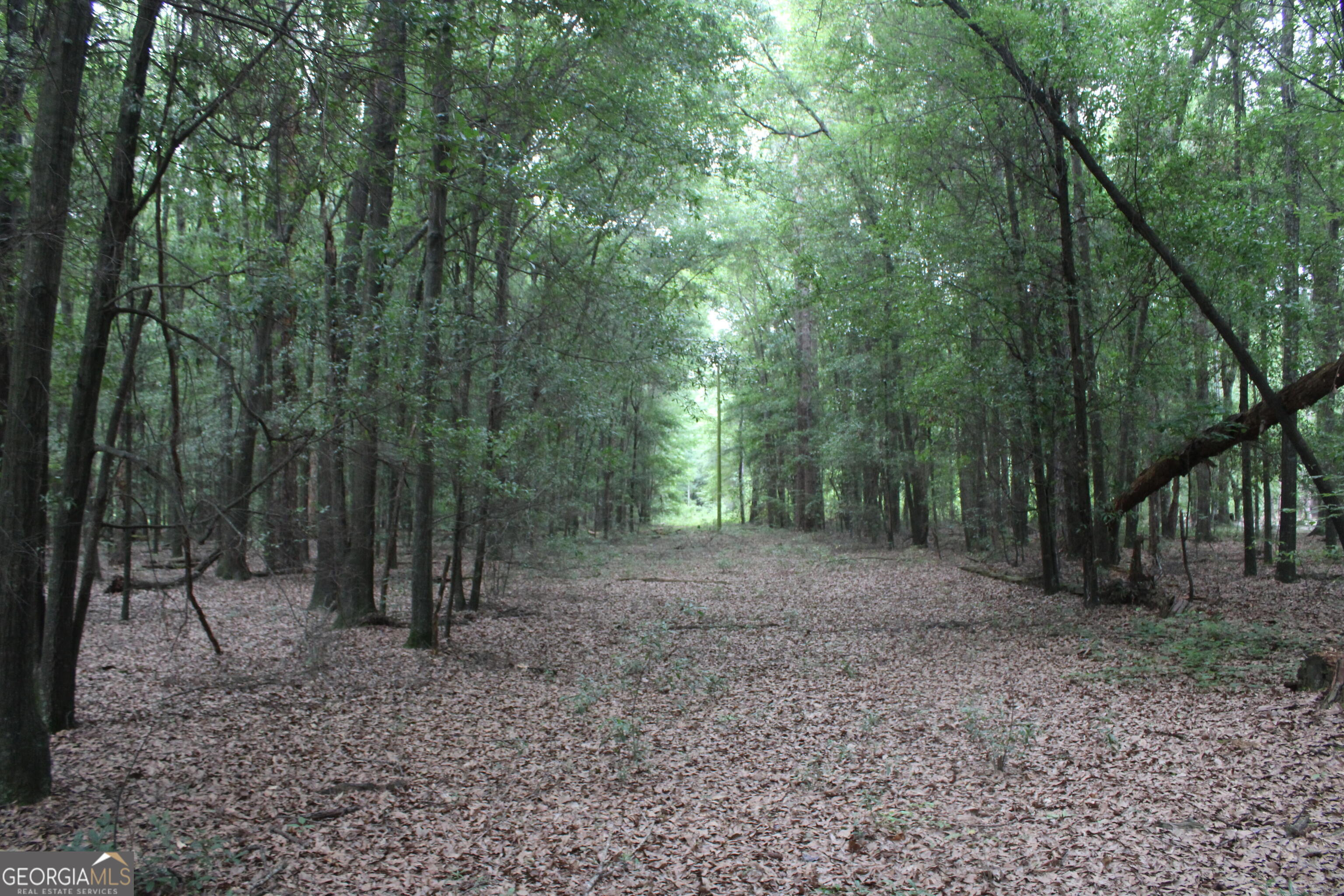 0 South State Route 49 Road Oglethorpe, GA 31068 - Photo 2 of 16