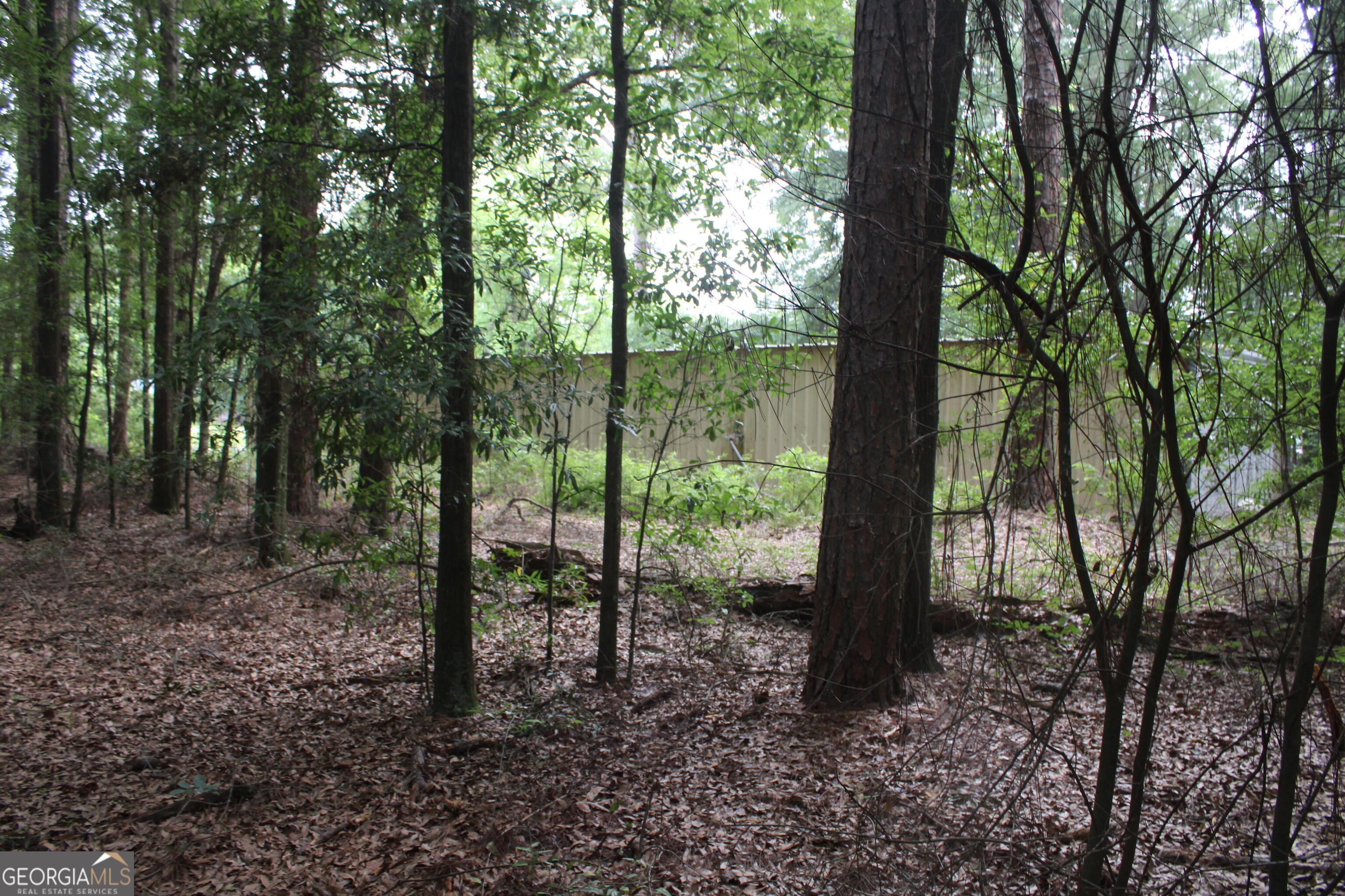 0 South State Route 49 Road Oglethorpe, GA 31068 - Photo 4 of 16