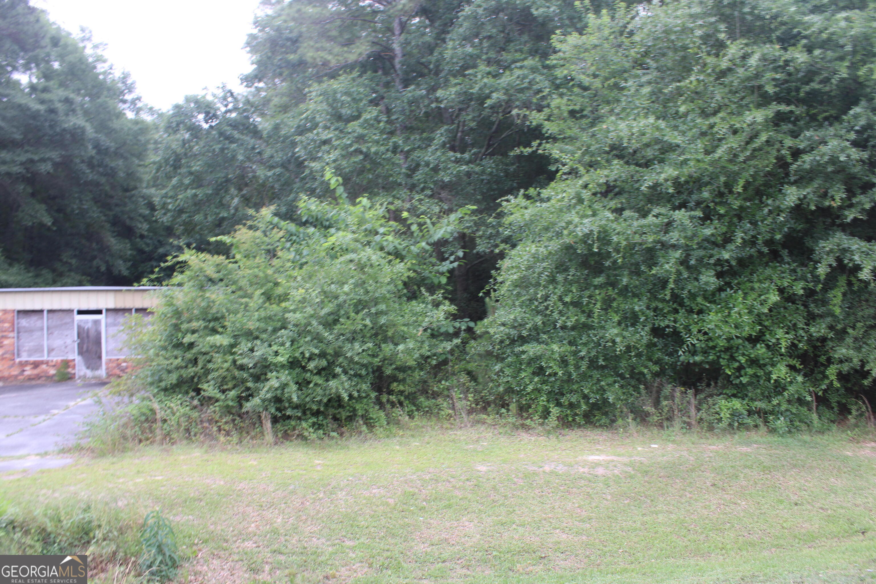 0 South State Route 49 Road Oglethorpe, GA 31068 - Photo 6 of 16
