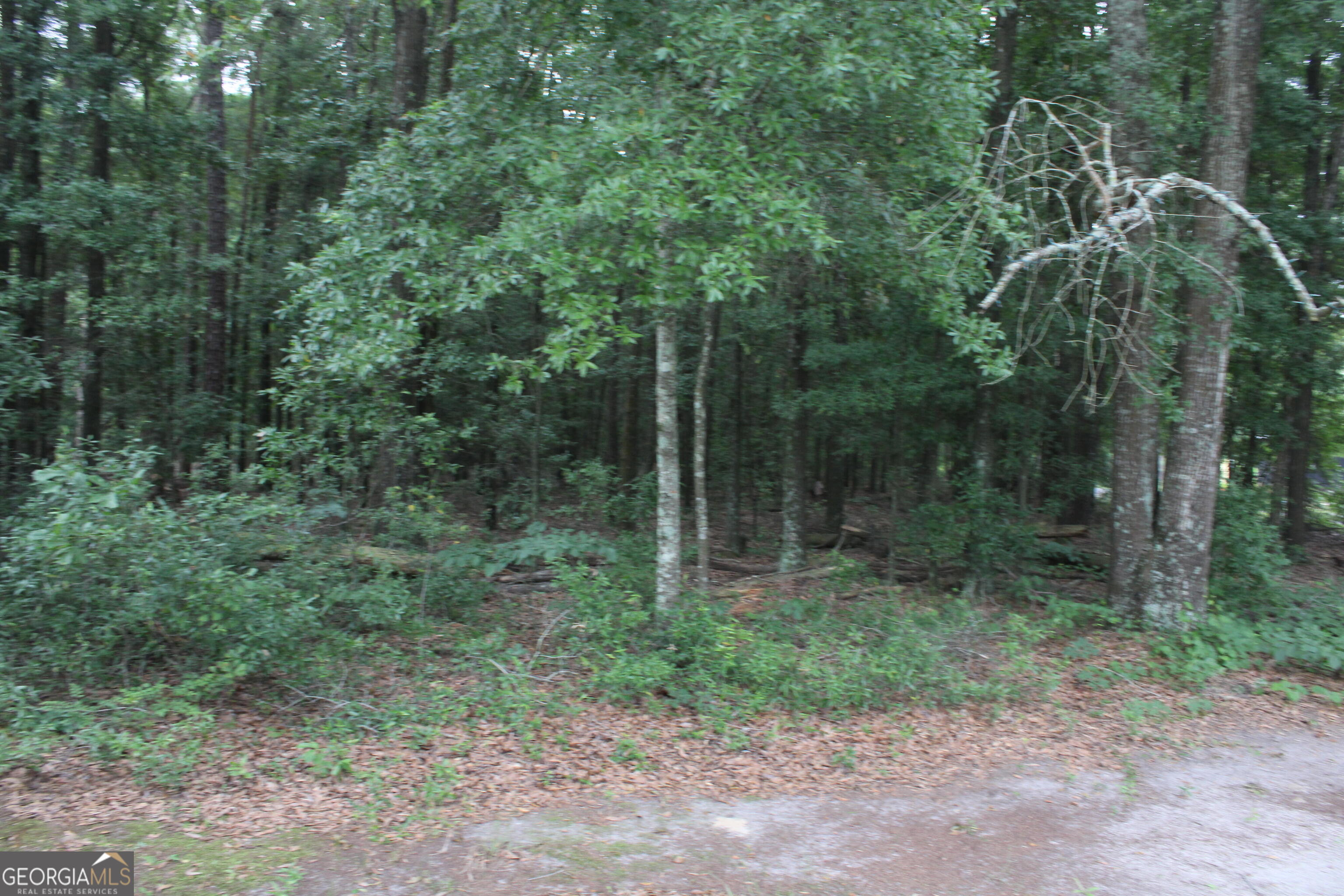 0 South State Route 49 Road Oglethorpe, GA 31068 - Photo 7 of 16