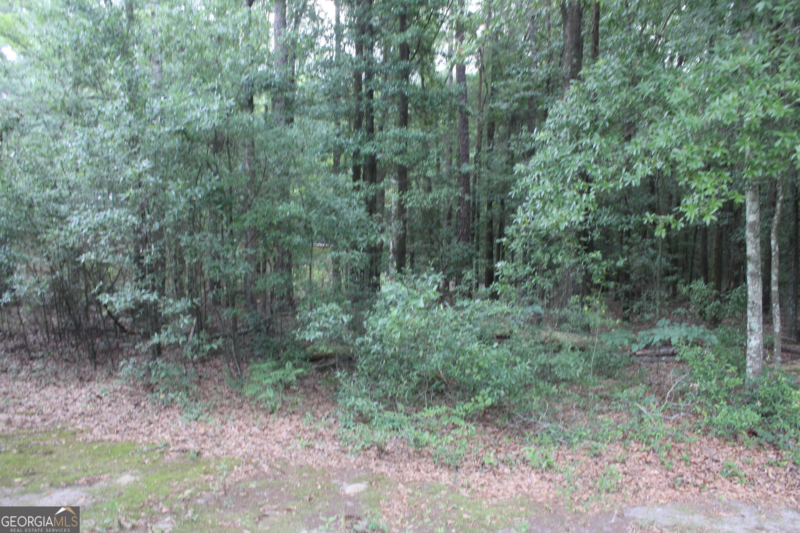 0 South State Route 49 Road Oglethorpe, GA 31068 - Photo 8 of 16
