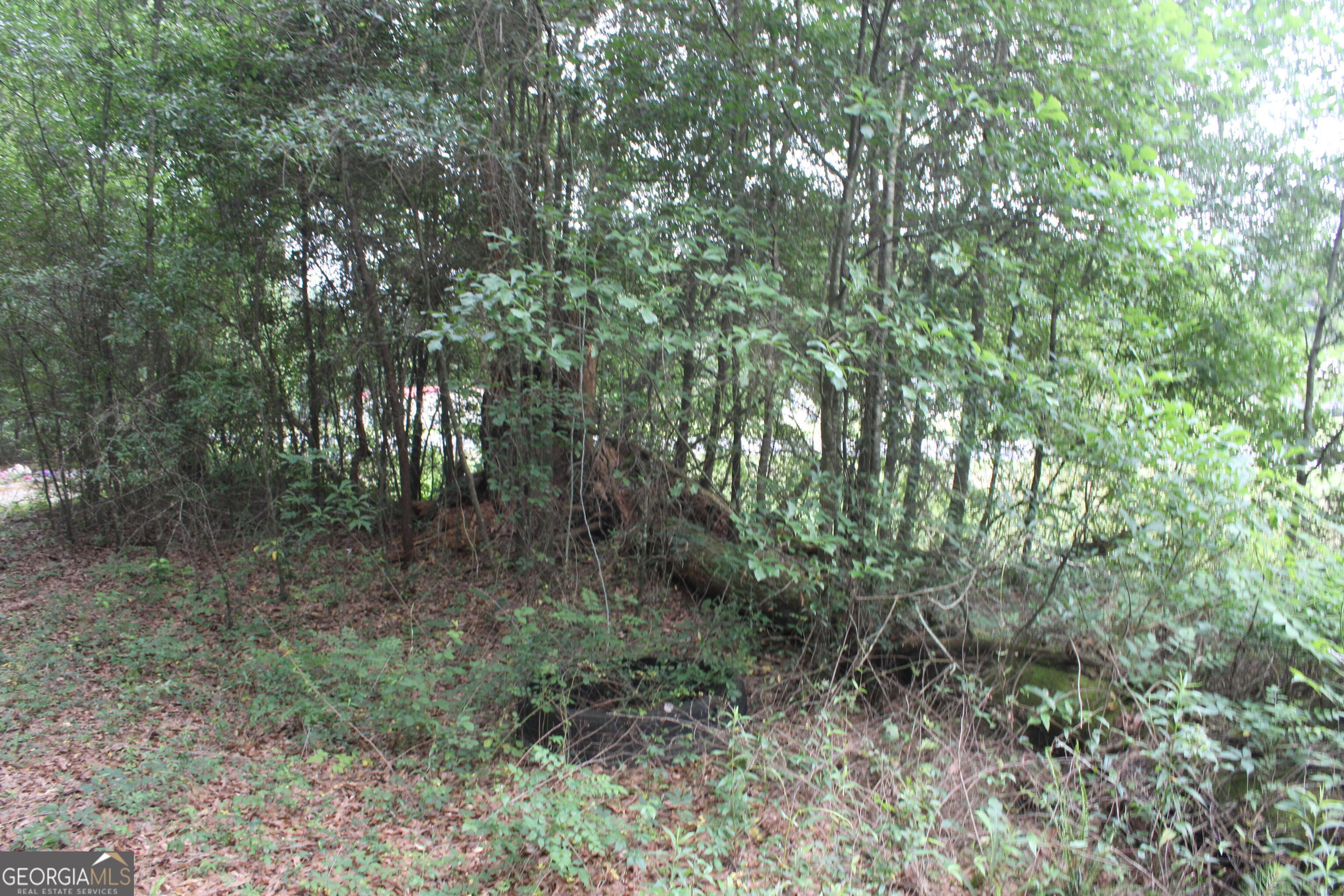 0 South State Route 49 Road Oglethorpe, GA 31068 - Photo 9 of 16