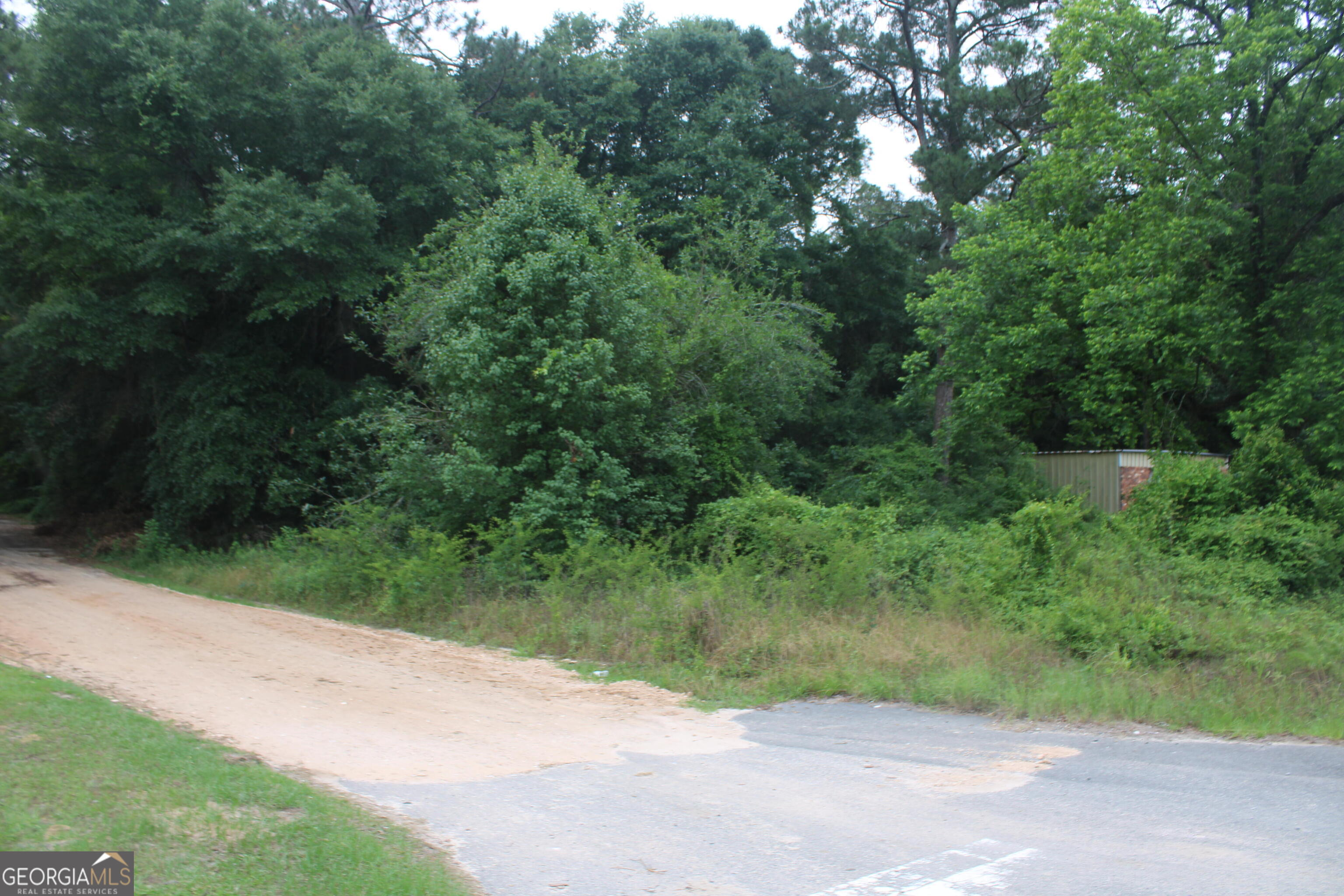 0 South State Route 49 Road Oglethorpe, GA 31068 - Photo 10 of 16