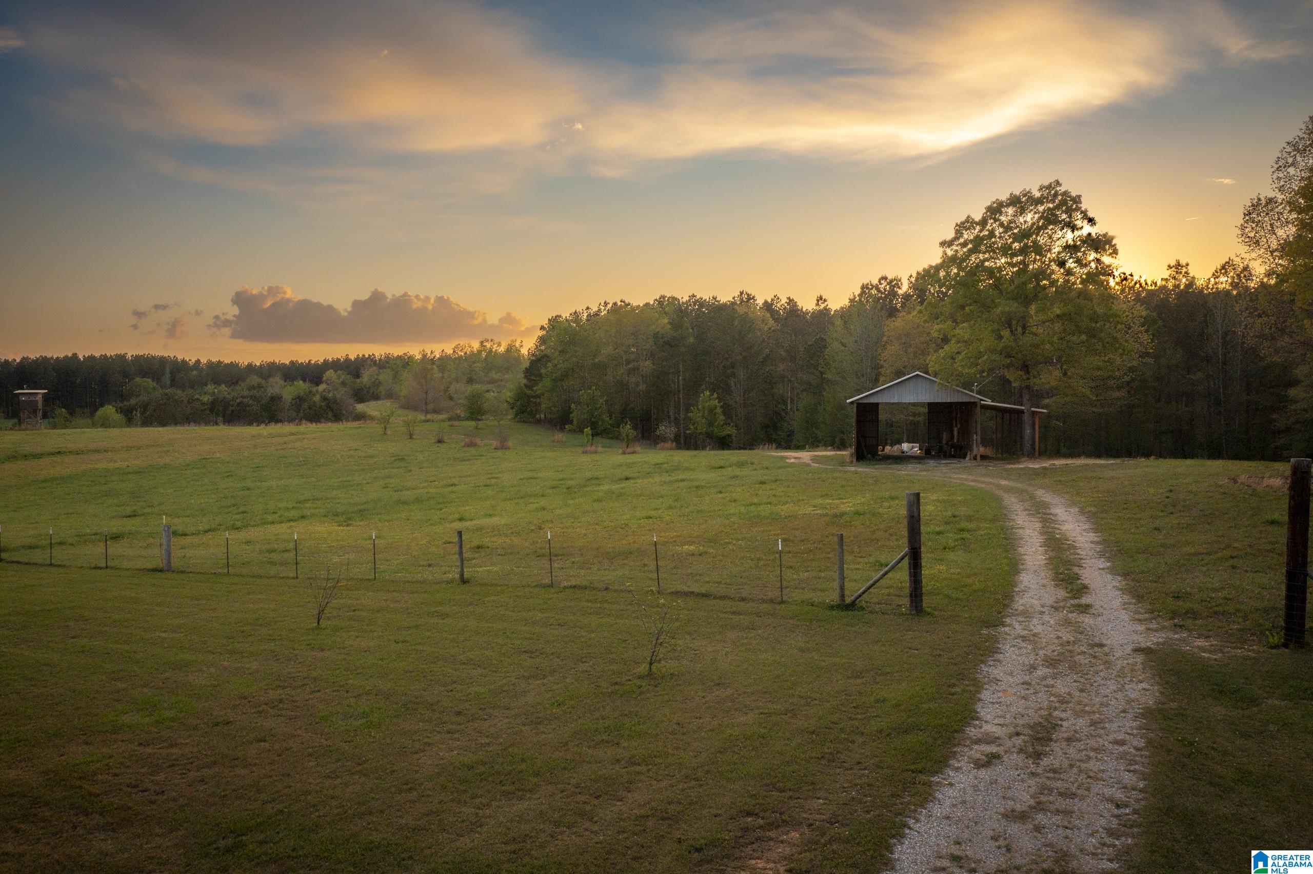 1325 Ledbetter Road Munford, AL 36268 - Photo 84 of 85