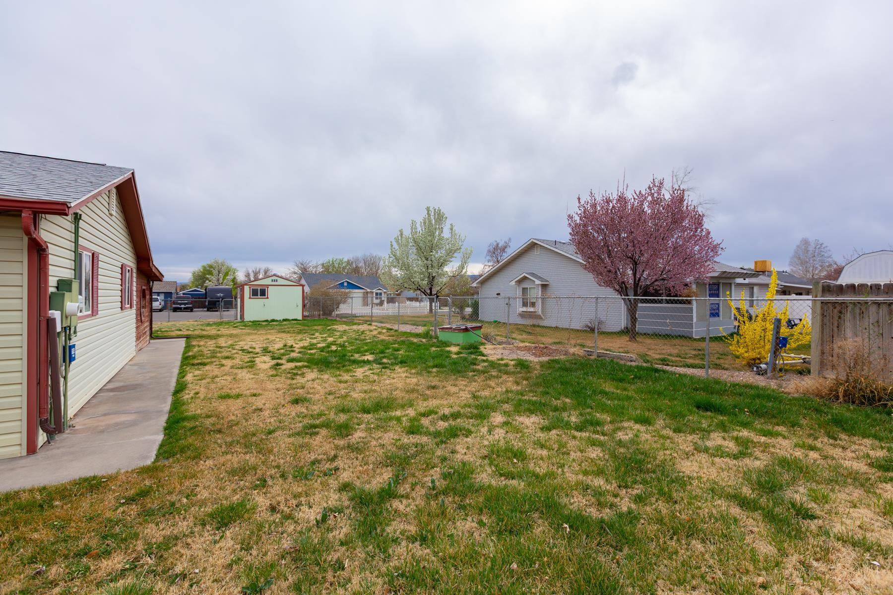 481-31 31 1/4 Road Grand Junction, CO 81504 - Photo 37 of 38 a view of a back yard