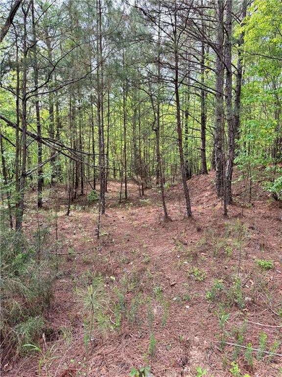 2 Shyers Ford Road Talking Rock, GA 30175 - Photo 16 of 22 Gallery Image 16