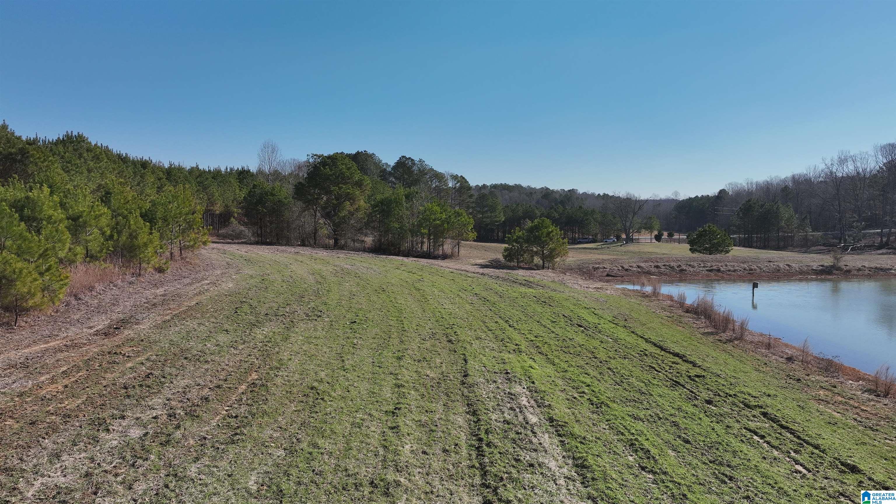6171 Highway 102, Unit 1 Fayette, AL 35555 - Photo 27 of 68