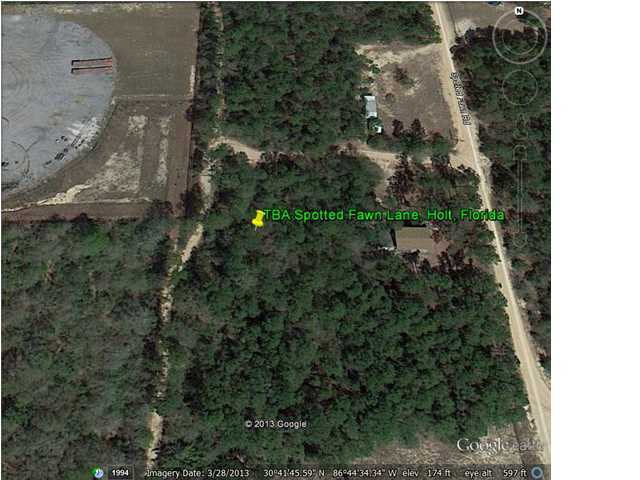 Tba Spotted Fawn Road Holt, FL 32564 - Photo 2 of 12 an aerial view of residential house with outdoor space