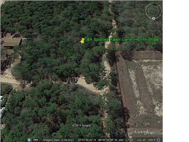 Tba Spotted Fawn Road Holt, FL 32564 - Photo 4 of 12 a view of a forest that has plants in it
