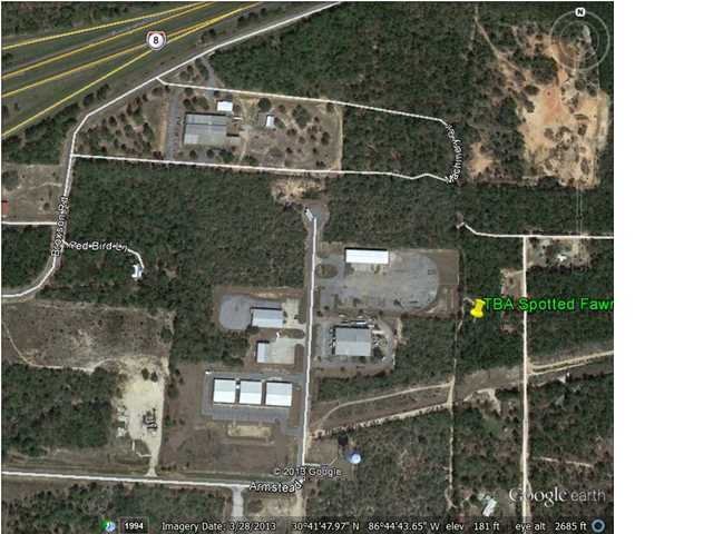Tba Spotted Fawn Road Holt, FL 32564 - Photo 5 of 12