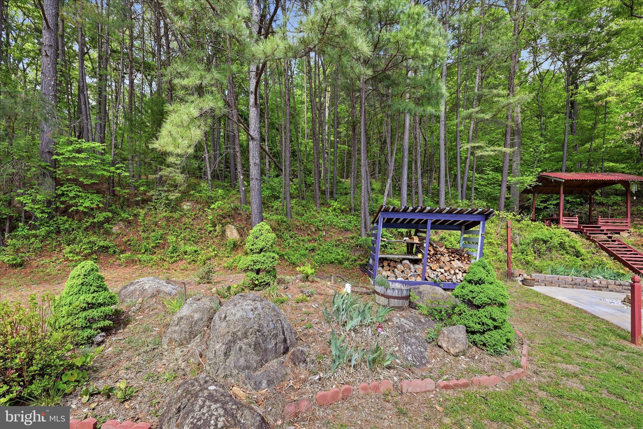 3744 Browntown Road Front Royal, VA 22630 - Photo 67 of 84 Backyard