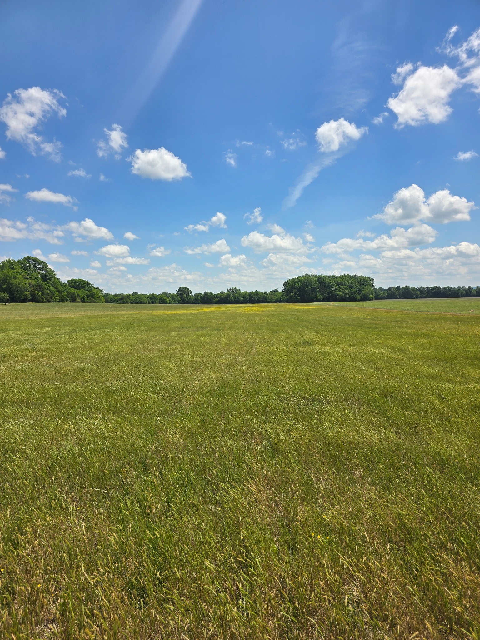 0 Shoemaker Road Eagleville, TN 37060 - Photo 5 of 17